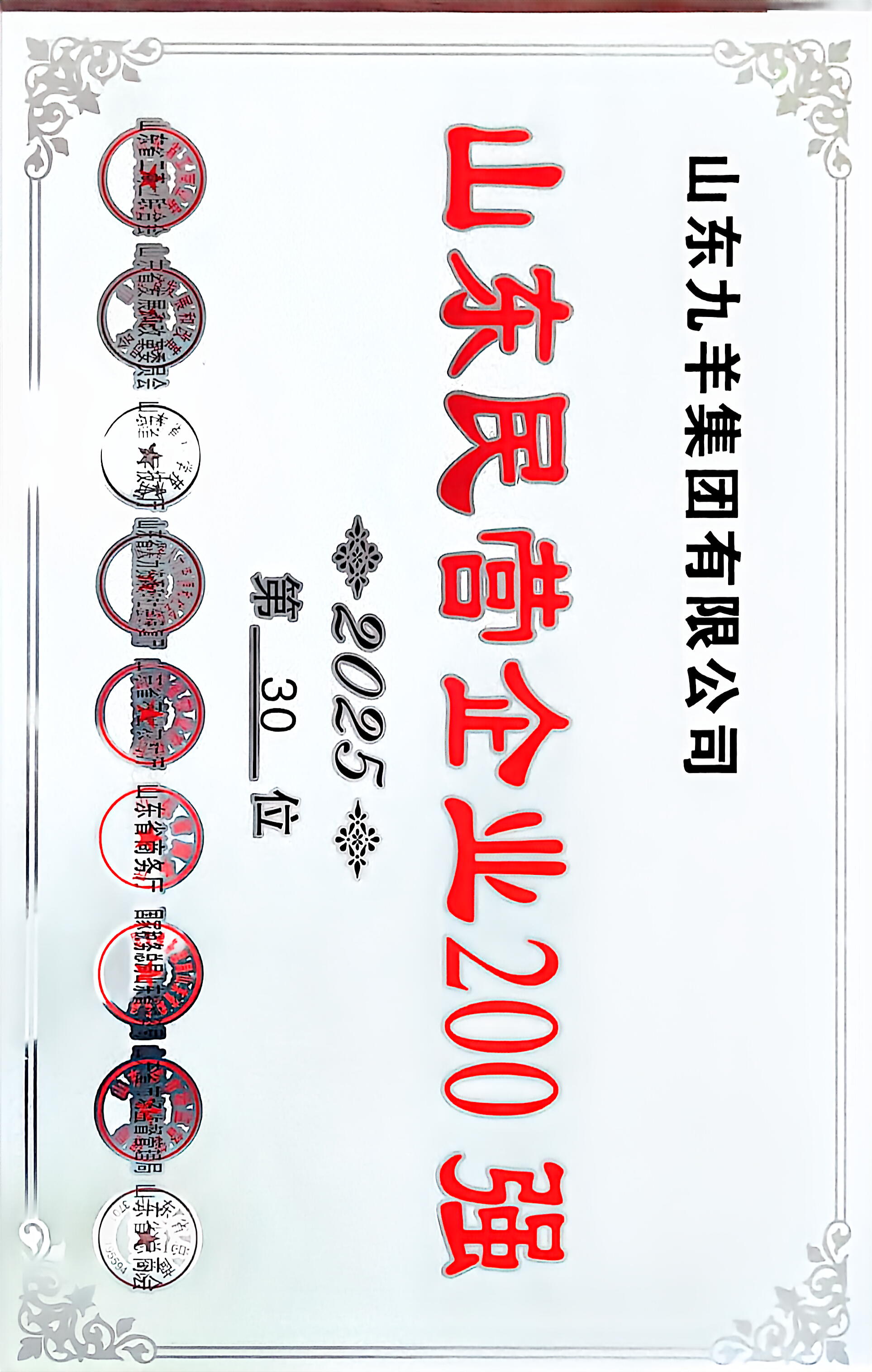 山東九羊集團有限公司2025年度山東民營企業200強 第30名
